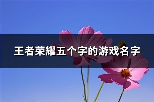 王者荣耀五个字的游戏名字(共528个)