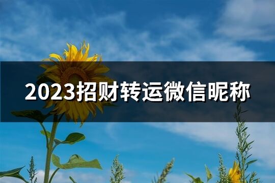 2023招财转运微信昵称(共714个)