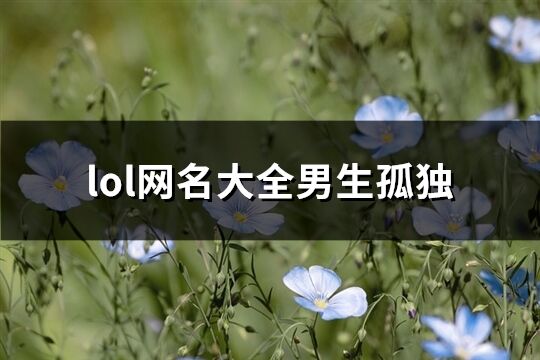 lol网名大全男生孤独(155个)