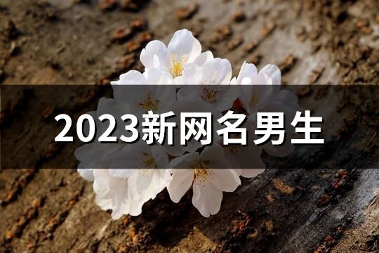 2023新网名男生(共886个)