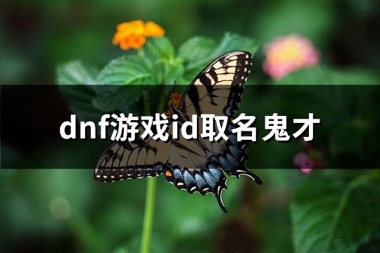 dnf游戏id取名鬼才(精选60个)