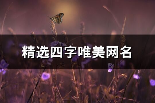 精选四字唯美网名(787个)