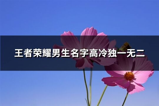 王者荣耀男生名字高冷独一无二(共123个)