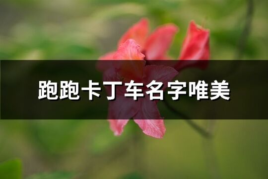 跑跑卡丁车名字唯美(精选67个)