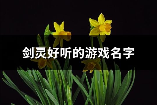 剑灵好听的游戏名字(624个)