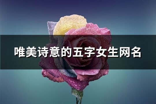 唯美诗意的五字女生网名(668个)