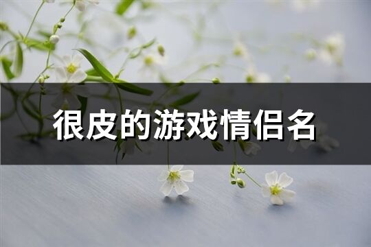 很皮的游戏情侣名(共81个)