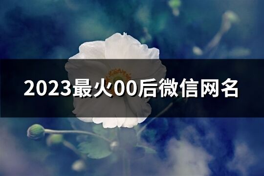 2023最火00后微信网名(精选260个)