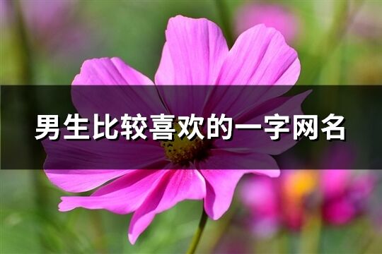 男生比较喜欢的一个字网名(共272个)