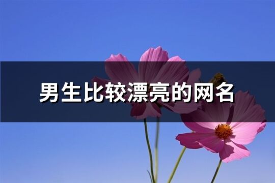 男生比较漂亮的网名(共283个)