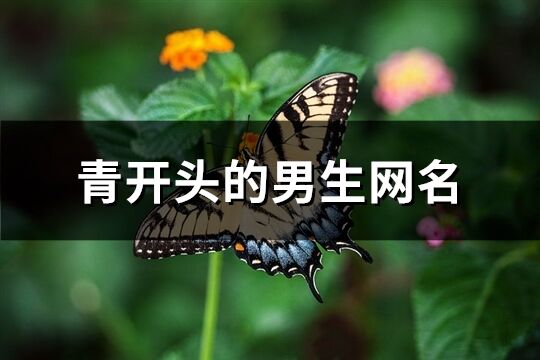 青开头的男生网名(精选76个)