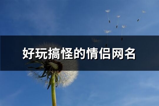 好玩搞怪的情侣网名(共144个)