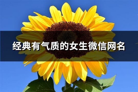 经典有气质的女生微信网名(精选947个)