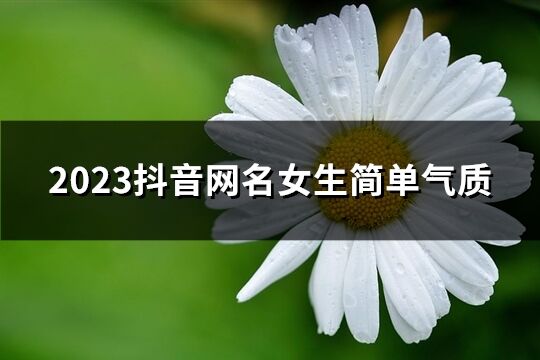 2023抖音网名女生简单气质(共204个)