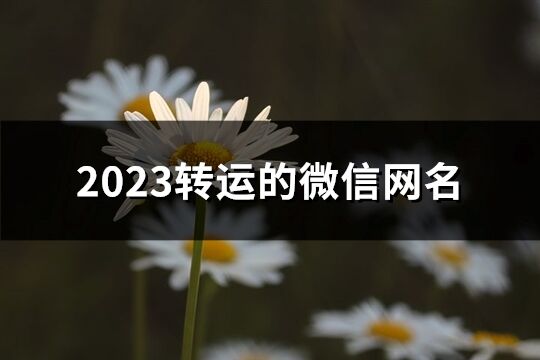 2023转运的微信网名(共623个)