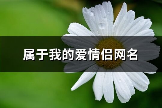 属于我的爱情侣网名(共341个)