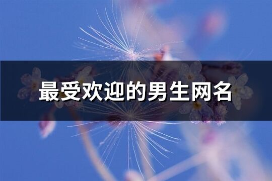 最受欢迎的男生网名(精选423个)