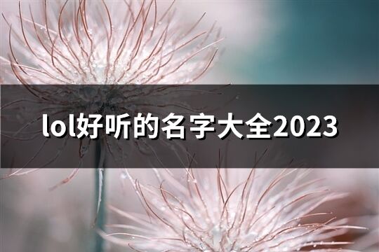 lol好听的名字大全2023(77个)