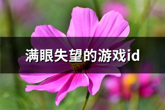 满眼失望的游戏id(共284个)