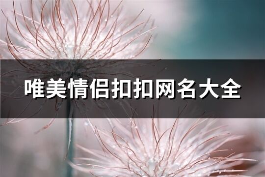 唯美情侣扣扣网名大全(共72个)