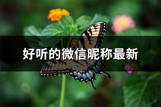 好听的微信昵称最新(共248个)