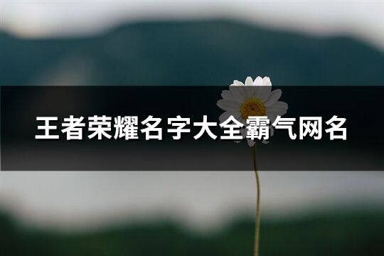 王者荣耀名字大全霸气网名(62个)