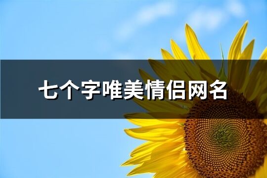 七个字唯美情侣网名(共163个)