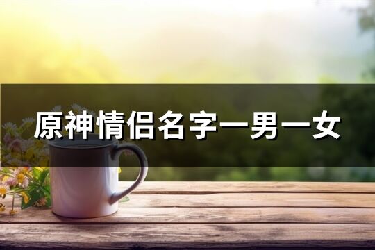 原神情侣名字一男一女(152个)