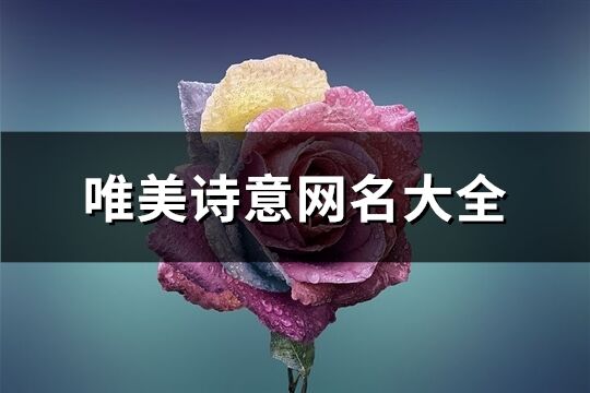 唯美诗意网名大全(1013个)