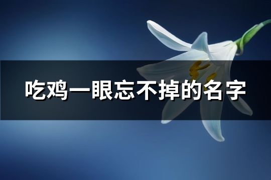 吃鸡一眼忘不掉的名字(精选129个)