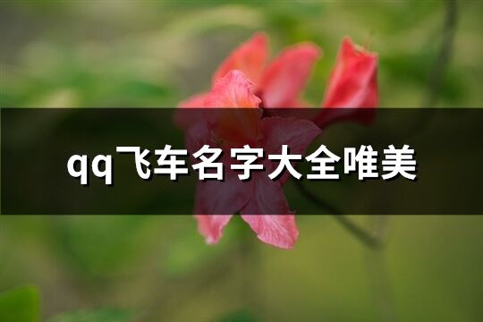 qq飞车名字大全唯美(共176个)