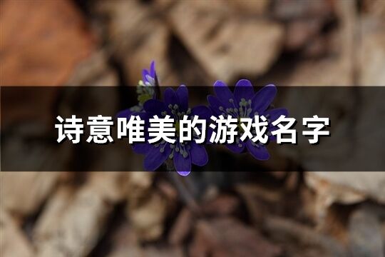 诗意唯美的游戏名字(481个)