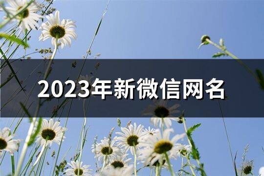 2023年新微信网名(精选1526个)