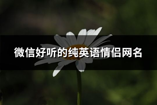 微信好听的纯英语情侣网名(精选88个)