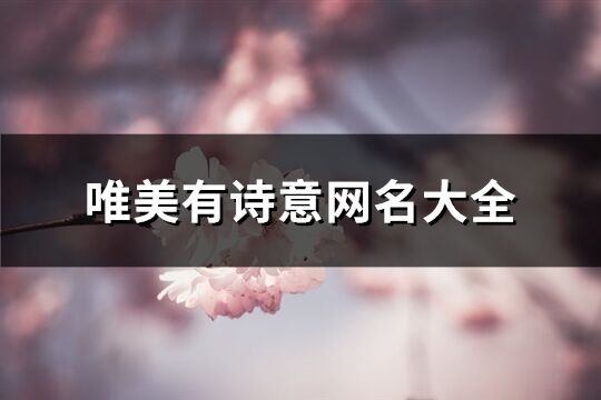 唯美有诗意网名大全(共386个)