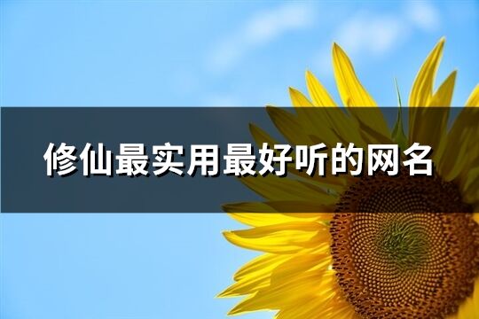 修仙最实用最好听的网名(精选100个)