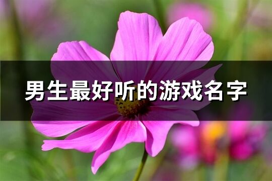 男生最好听的游戏名字(精选483个)