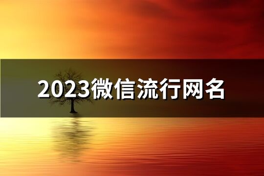 2023微信流行网名(共1103个)