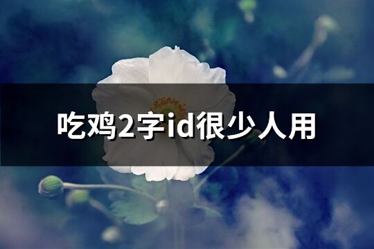 吃鸡2字id很少人用(精选193个)