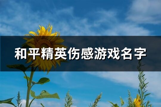 和平精英伤感游戏名字(共302个)