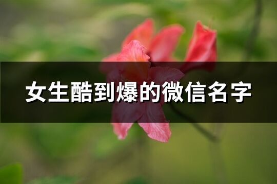 女生酷到爆的微信名字(338个)