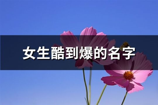 女生酷到爆的名字(共442个)