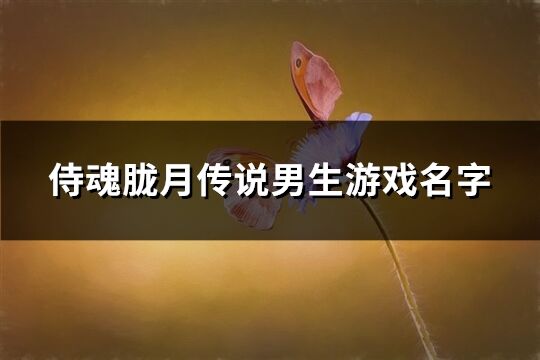 侍魂胧月传说男生游戏名字(147个)