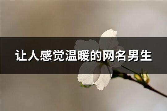 让人感觉温暖的网名男生(共192个)