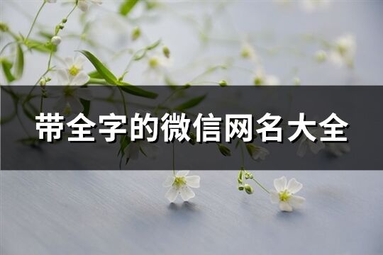 带全字的微信网名大全(共60个)