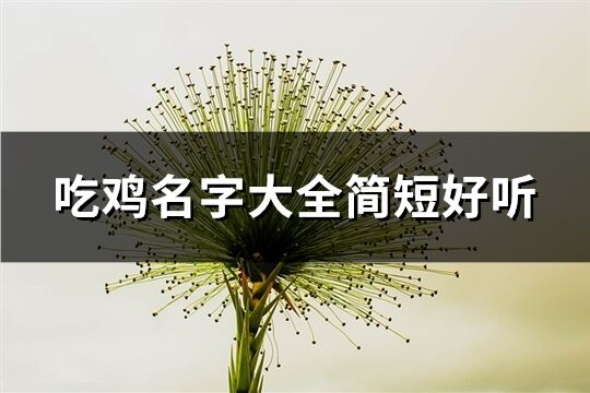 吃鸡名字大全简短好听(744个)