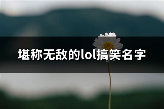 堪称无敌的lol搞笑名字(共312个)