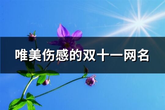 唯美伤感的双十一网名(共604个)