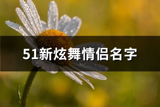 51新炫舞情侣名字(共169个)