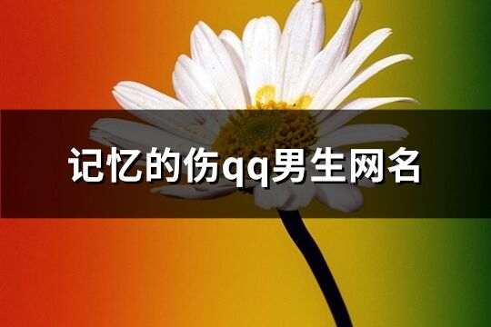 记忆的伤qq男生网名(370个)